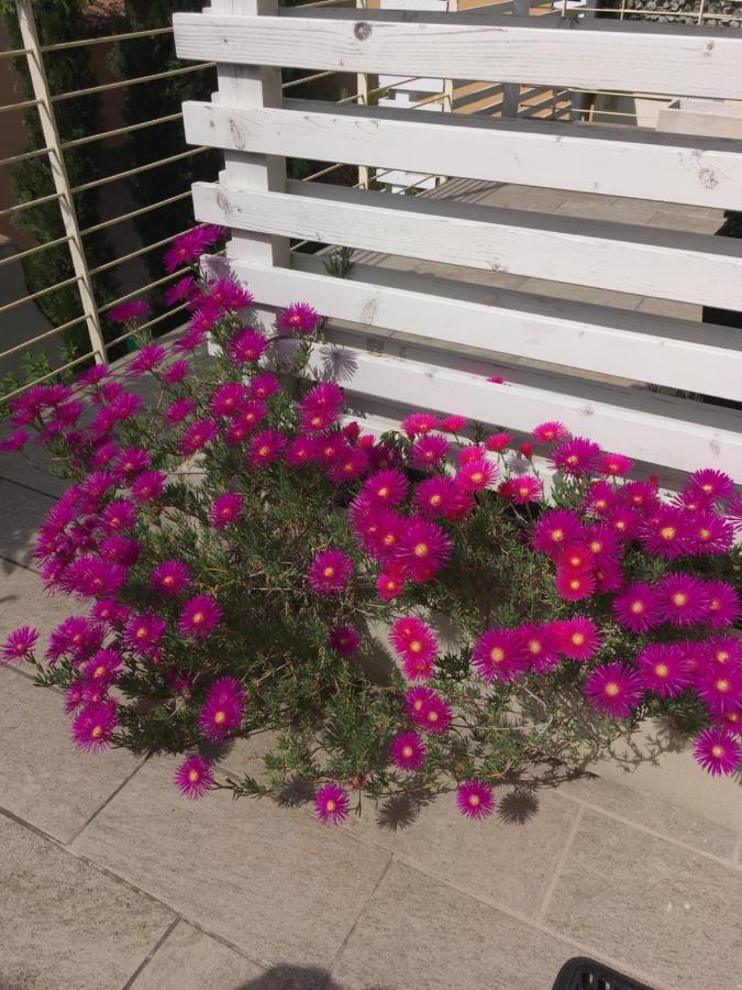 Antonella Gardalake 2 Дезенцано-дель-Гарда Экстерьер фото
